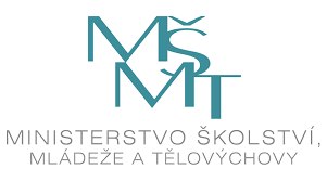 Logo-msmt