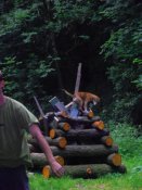 Copak tam pejskovi tak vonělo?